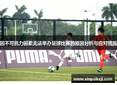 因不可抗力因素无法举办足球比赛的原因分析与应对措施